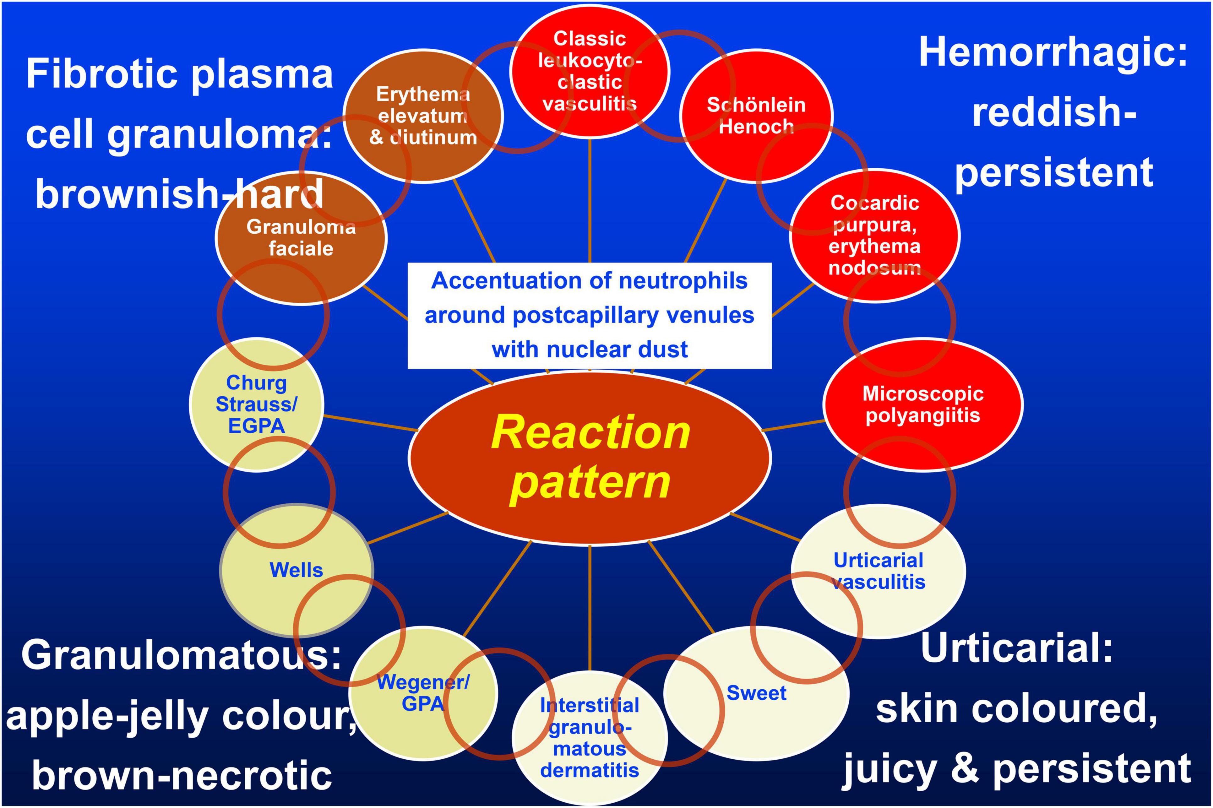 Vasculitides and occluding vasculopathies, challenges in recognizing histopathological patterns, and their solutions